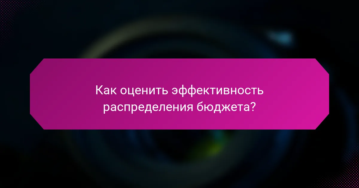 Как оценить эффективность распределения бюджета?